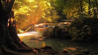 Moon Rest – the sound of night breathing.