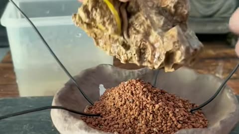 💡✨ Life-Changing Hack for [Something]! | LifeHacksDaily