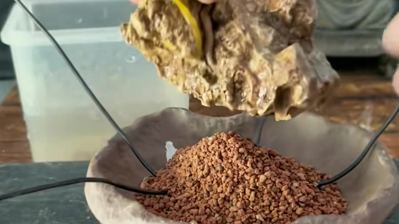 💡✨ Life-Changing Hack for [Something]! | LifeHacksDaily