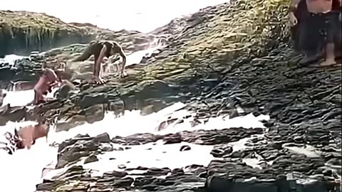 Big Friendly Giant ‼️