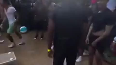 Chaotic Pool Party Ends up with Diverse Aquatics Experts Breaking Diving Board