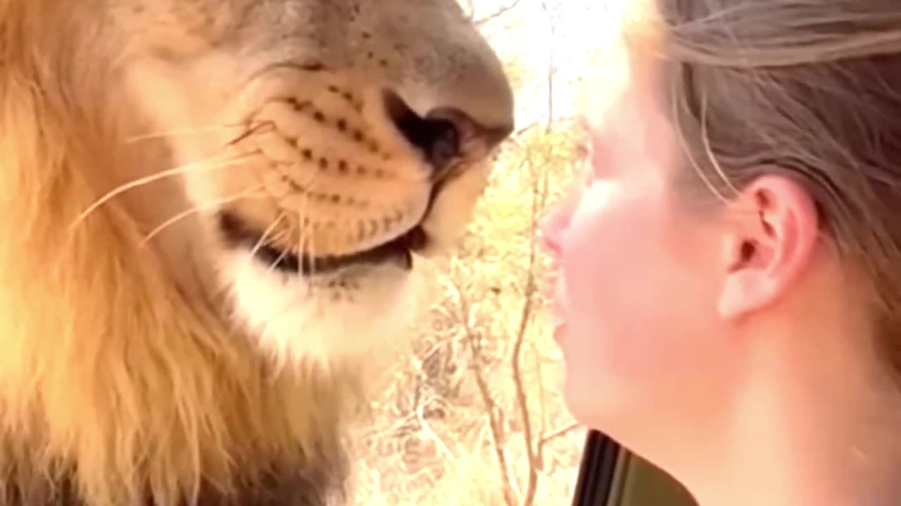 What happens if you are not afraid?