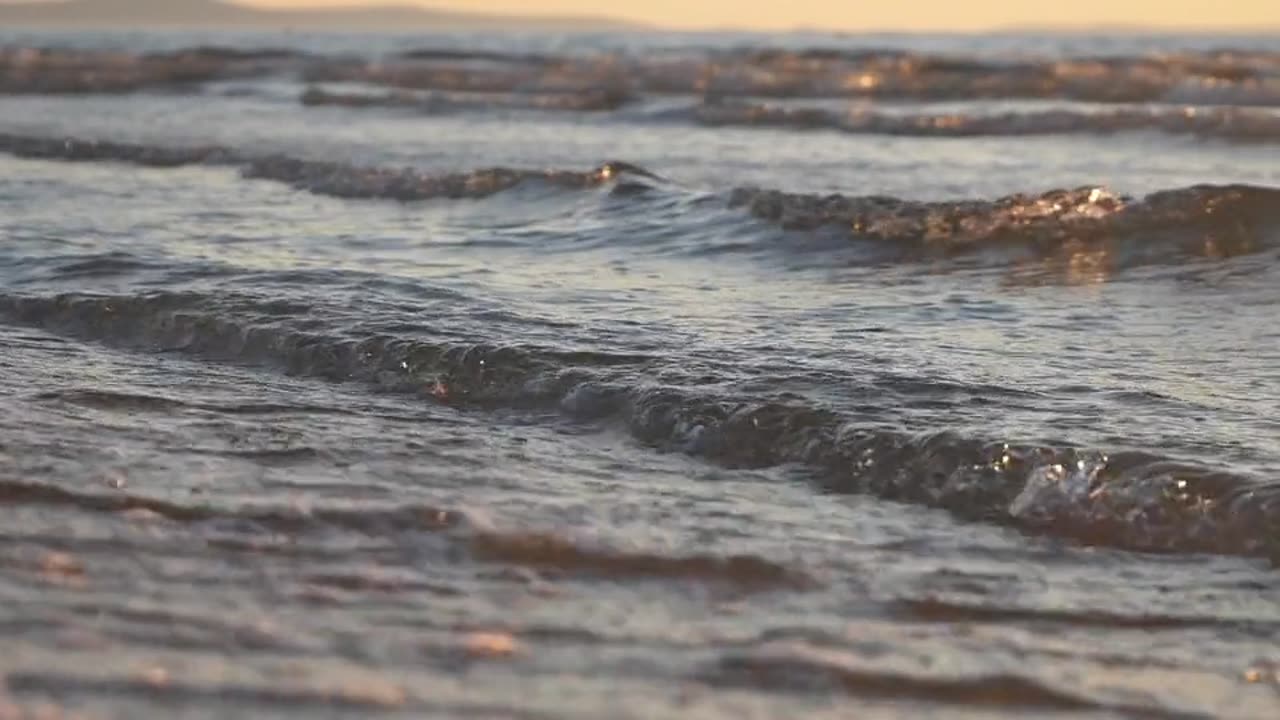 Waving Sea Coastal Beach