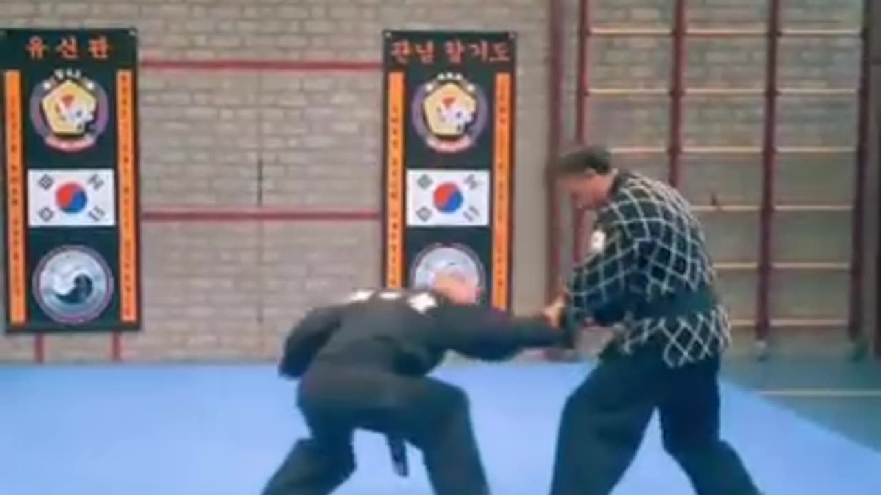 Hapkido