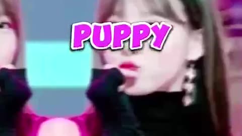 5 Types Of Animals Representing Girl Group Idols