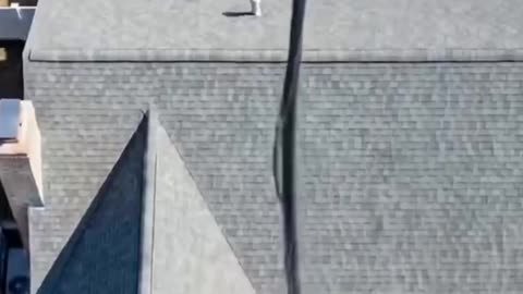 🍋 Don Lemon Arrest Video🍋