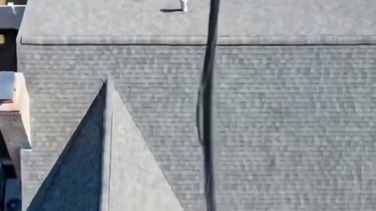 🍋 Don Lemon Arrest Video🍋