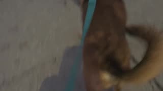 😂💼 Branch Manager's Assistant: The Funniest Office Fail! | FunFM