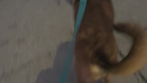 😂💼 Branch Manager's Assistant: The Funniest Office Fail! | FunFM