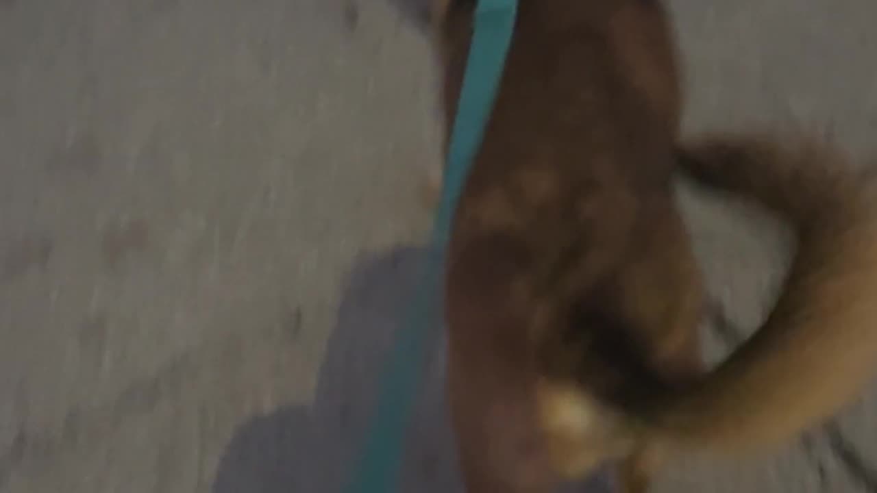 😂💼 Branch Manager's Assistant: The Funniest Office Fail! | FunFM