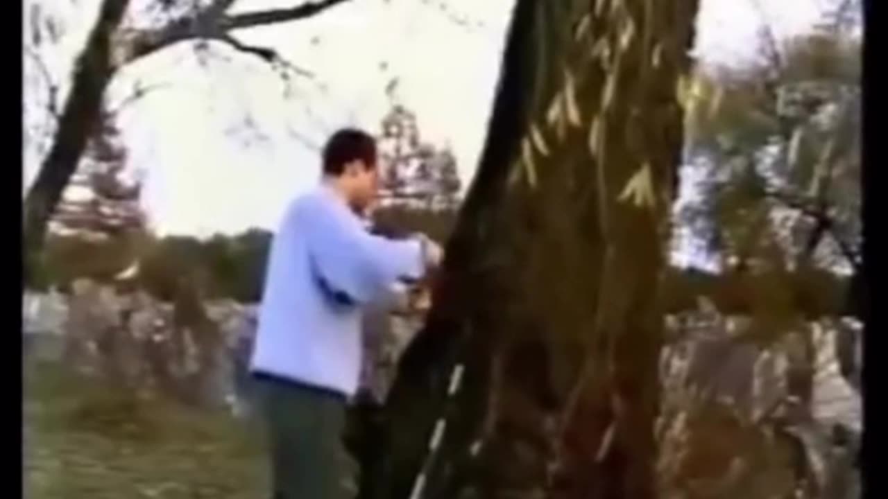 Even more evidence to debunk the Holocaust narrative...