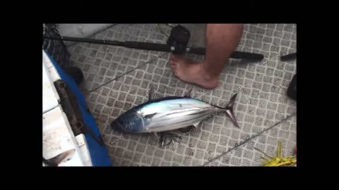 Day of firsts catching tuna with my cousin