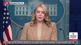 12225 Terry Reports - Political Video Clips You Need to See! No. 2