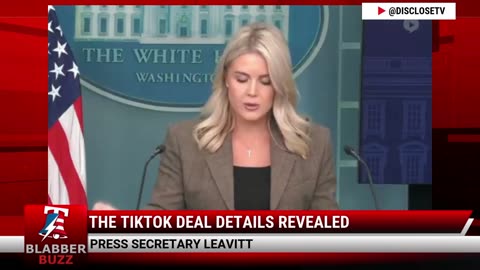 The TikTok Deal Details Revealed
