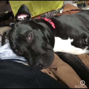 My good friends Baker an Bell