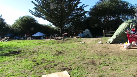 Homeless Camp Removal