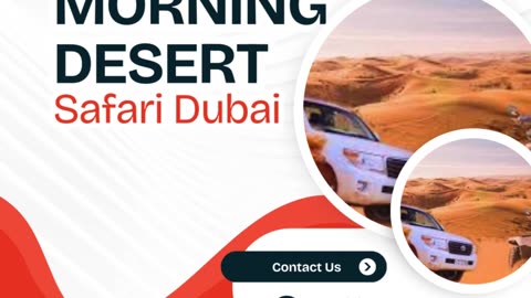 Morning Desert Safari in Dubai