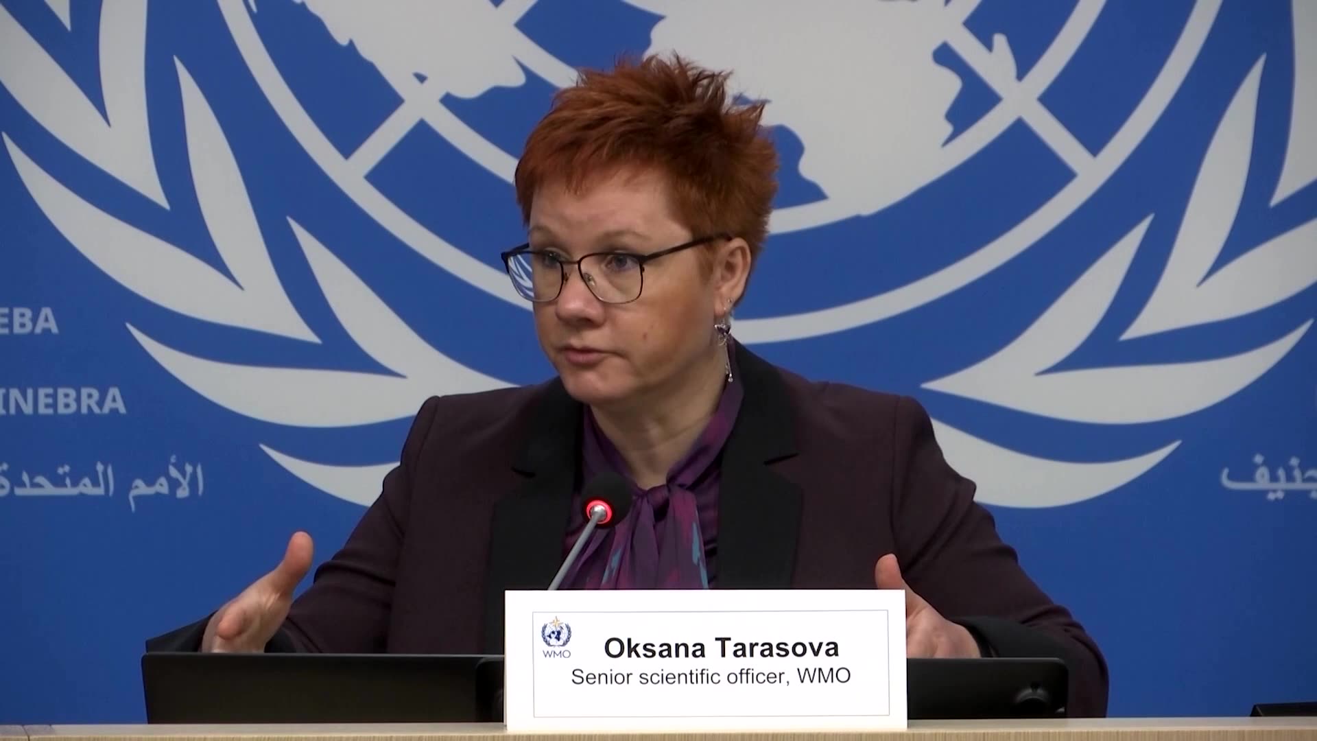 CO2 levels at record high, says World Meteorological Organization