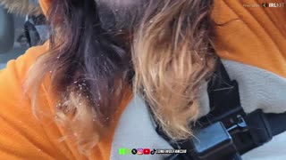 LONEWOLFs 3rd Apocalyptic IRL Adventure On Rumble In a ONSIE !?!?!?!?!