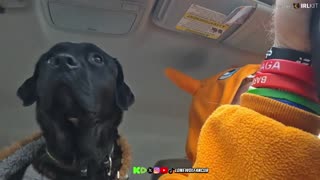 LONEWOLFs 3rd Apocalyptic IRL Adventure On Rumble In a ONSIE !?!?!?!?!