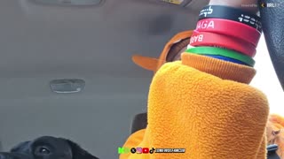 LONEWOLFs 3rd Apocalyptic IRL Adventure On Rumble In a ONSIE !?!?!?!?!