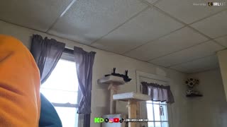 LONEWOLFs 3rd Apocalyptic IRL Adventure On Rumble In a ONSIE !?!?!?!?!