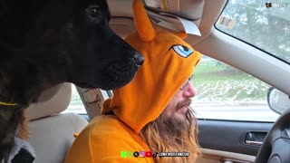 LONEWOLFs 3rd Apocalyptic IRL Adventure On Rumble In a ONSIE !?!?!?!?!