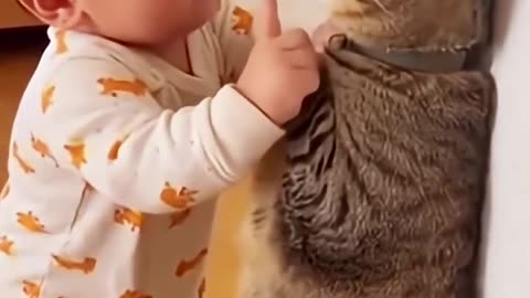 Cute Baby & Cat Funny Videos 😂😂😂