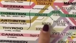 Thyroid on the ‘Vitality Web’ 👀 | TARTARIALIVES.ORG