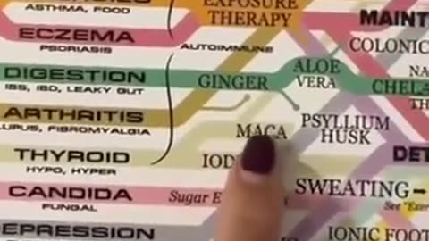 Thyroid on the ‘Vitality Web’ 👀 | TARTARIALIVES.ORG