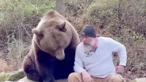 Man Converses with Adult Brown Bear While Offering Treats