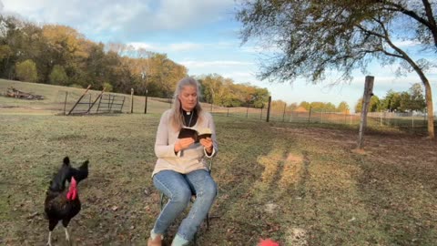 Morning Prayer, Daily Office