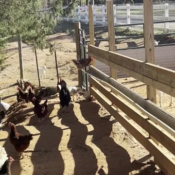 She is smarter than I am