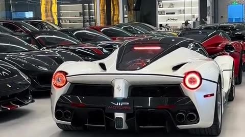 🏎️💨 The Beauty of Speed: Exotic Car Acceleration! | LuxurySportsCars