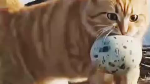 Best funny reaction
