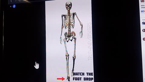 EGI Q GAIT illustrated from Your favorite uncontrollable transvestigator