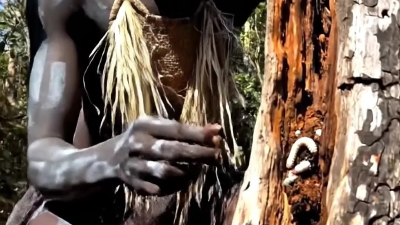 Primitive Technology