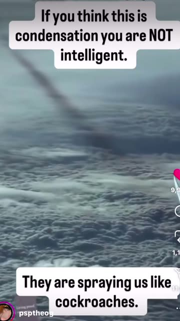 They must be in on it