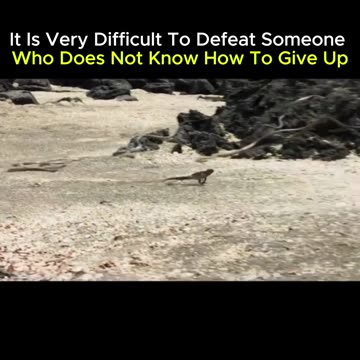 Did you know that your most powerful weapon is your mind? 💡