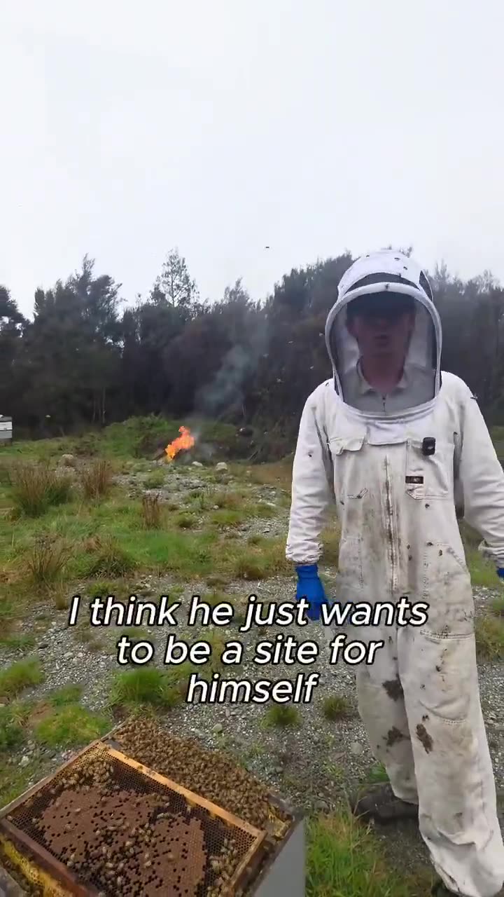 Meanwhile in New Zealand