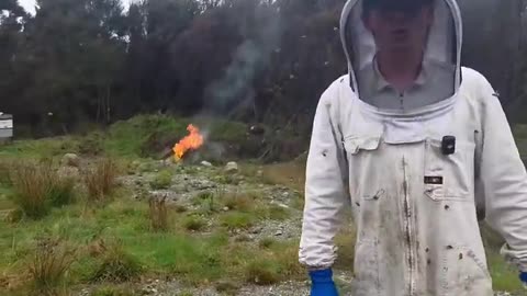 Meanwhile in New Zealand