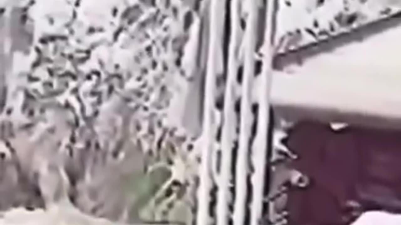 man pretending to jump from a cliff in an attempt to create a viral video ends up falling off