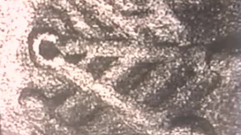 extra terrestrial archeology