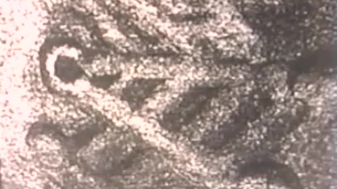 extra terrestrial archeology