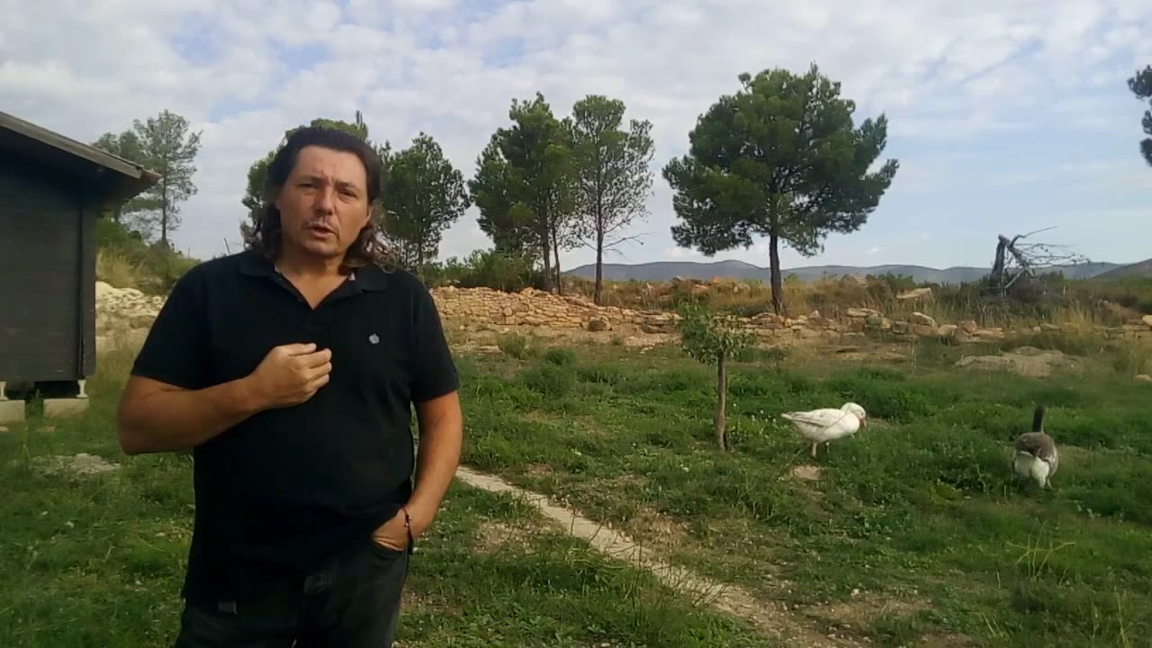 Como cuidar de las ocas y que debe saber sobre ellas