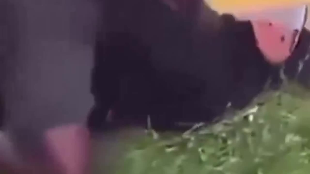 Man stabbed, beaten with bat in wild altercation after wrong-way crash in NY