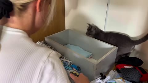 🌿BESKRAJNI KIŠNI DANI🌿TIJESTO ZA DOMAĆE MAKARONE⧸SEOSKA VECERA⧸PUNJENA POGAČICA⧸Organizacij