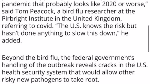 Bird flu another pestilence that could be the big one.