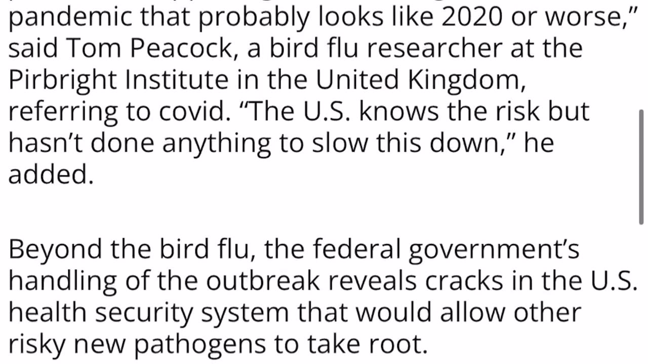 Bird flu another pestilence that could be the big one.