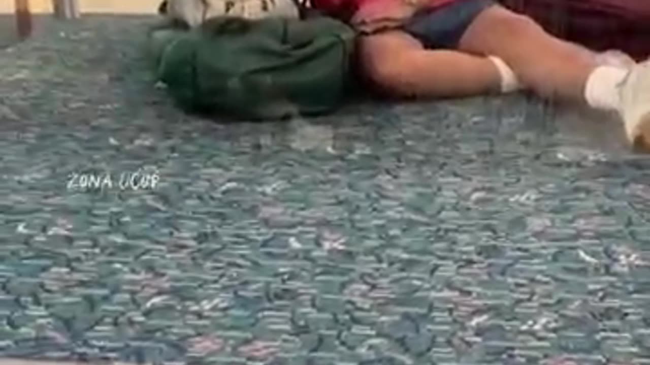 This "Man" at the Airport Will Fool You!